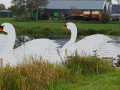 IMG-20151030-WA0012