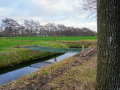 12WW-DSC05451