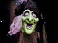 15DSC05471