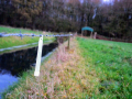 16-DSC05475