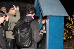 IMG_9812-BorderMaker